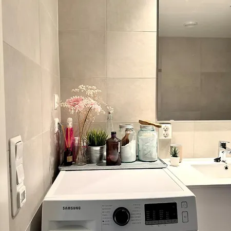 Modern Near Center Of Apartman *