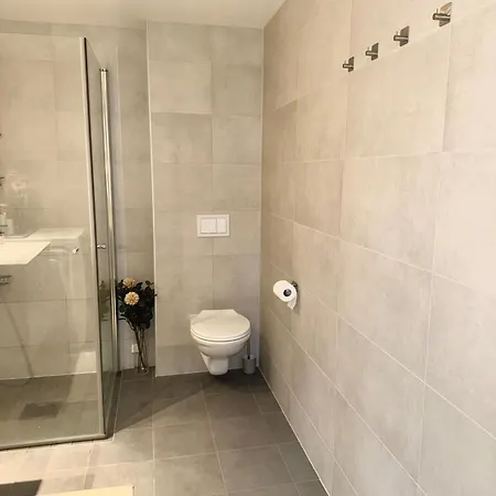 Modern Near Center Of Apartman
