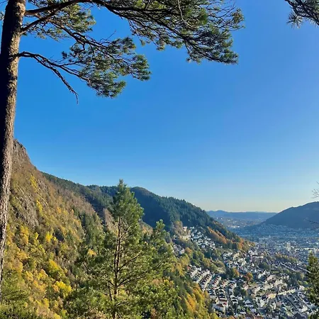 Modern Near Center Of Apartman Bergen
